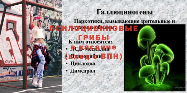 не бодяженный Новодвинск