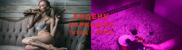 дживик Шали