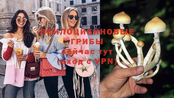 каннабис Ельня