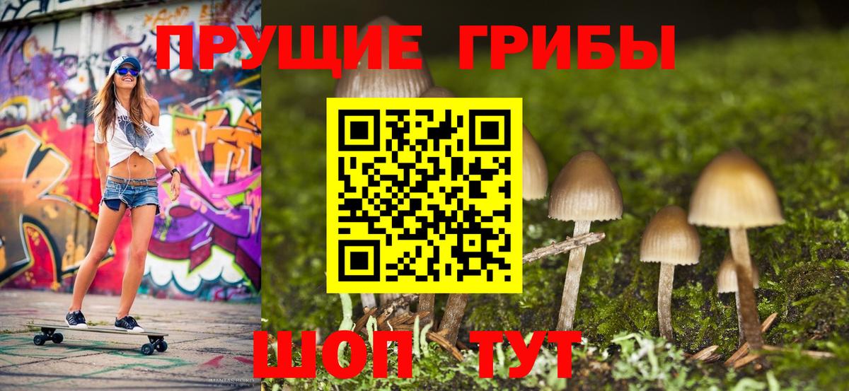 Псилоцибиновые грибы GOLDEN TEACHER Пыть-Ях