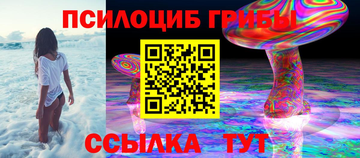 Галлюциногенные грибы Cubensis Пыть-Ях