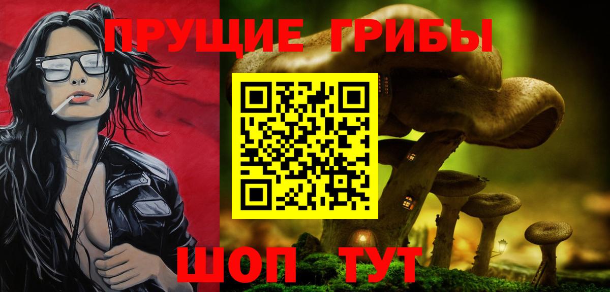 Пыть-Ях  Псилоцибиновые грибы прущие грибы  Вход с VPN 